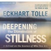 Deepening the Dimension of Stillness - A Retreat on the Essence of Who We are (CD) - Eckhart Tolle Photo