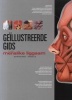 Geillustreerde Gids Tot Die Menslike Liggaam (Afrikaans, Paperback) - Collectif Quebec Amerique Photo