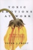 Toxic Emotions at Work and What You Can Do About Them (Paperback) - Peter J Frost Photo