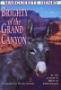 Brightly of the Grand Canyon (Paperback, 1st Aladdin Books ed) - Henry Photo