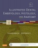 Illustrated Dental Embryology, Histology, and Anatomy (Paperback, 4th Revised edition) - Margaret J Fehrenbach Photo