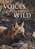 Voices from the Wild - An Animal Sensagoria (Hardcover) - David Bouchard Photo