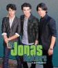 The Jonas Brothers (Hardcover) - Sarah Parvis Photo