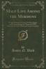 Male Life Among the Mormons - Or the Husband in Utah; Detailing Sights and Scenes Among the Mormons; With Remarks on Their Moral and Social Economy (Classic Reprint) (Paperback) - Austin N Ward Photo