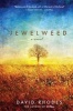 Jewelweed - A Novel (Paperback) - David Rhodes Photo