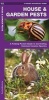 House & Garden Pests - How to Organically Control Common Invasive Species (Pamphlet) - James Kavanagh Photo