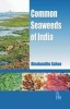 Common Seaweeds of India (Hardcover) - Dinabandhu Sahoo Photo