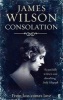 Consolation - A Novel of Mystery (Paperback, Main) - James Wilson Photo