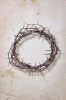 Crown of Thorns Journal - 150 Page Lined Notebook/Diary (Paperback) - Cool Image Photo