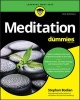 Meditation For Dummies (Paperback, 4th Revised edition) - Eric Tyson Photo