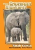 Those Enormous Elephants (Paperback) - Sarah Cussen Photo