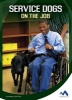 Service Dogs on the Job (Hardcover) - Marne Ventura Photo