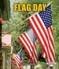 Flag Day (Paperback) - Robin Nelson Photo