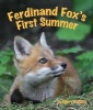 Ferdinand Fox's First Summer (Paperback) - Mary Holland Photo