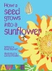 How a Seed Grows into a Sunflower (Paperback) - David Stewart Photo