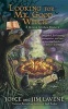 Looking for Mr. Good Witch (Paperback) - Joyce and Jim Lavene Photo