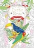 Exotic Birds - Colour by Numbers (Paperback, New edition) - Daisy Seal Photo