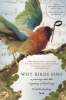 Why Birds Sing - A Journey into the Mystery of Birdsong (Paperback, New Ed) - David Rothenberg Photo