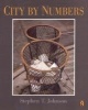 City by Numbers (Paperback) - Stephen T Johnson Photo