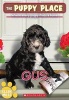 Gus (Paperback) - Ellen Miles Photo