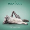 Yoga Cats - The Purrfect Workout (Hardcover) - Daniel Borris Photo