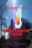 Amish Country Arson - Nurse Hal Among the Amish (Large print, Paperback, large type edition) - Fay Risner Photo