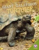 Giant Galpagos Tortoise (Hardcover) - Tammy Gagne Photo