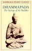 Dhammapada - The Sayings of the Buddha (Paperback, New edition) - Thomas Byrom Photo