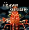 Is it a Prawn or a Shrimp? (Paperback) - Sharon Parsons Photo