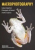 Macrophotography - Capture Magnified Photographs of Nature's Smallest Subjects (Paperback) - Dennis Quinn Photo