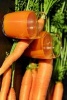 Fresh Carrot Juice, for the Love of Food - Blank 150 Page Lined Journal for Your Thoughts, Ideas, and Inspiration (Paperback) - Unique Journal Photo