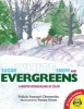 Sugar White Snow and Evergreens (Hardcover) - Felicia Sanzari Chernesky Photo