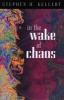 In the Wake of Chaos - Unpredictable Order in Dynamical Systems (Paperback, New edition) - Stephen H Kellert Photo