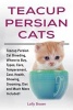 Teacup Persian Cats - Teacup Persian Cat Breeding, Where to Buy, Types, Care, Temperament, Cost, Health, Showing, Grooming, Diet and Much More Included! (Paperback) - Lolly Brown Photo