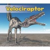 Velociraptor (Paperback) - Daniel Nunn Photo