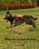 Training a Search and Rescue Dog - For Wilderness Air Scent (Paperback) - Christy Judah Photo