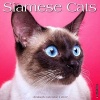 Siamese Cats (Calendar) - Willow Creek Press Photo