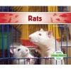 Rats (Hardcover) - Grace Hansen Photo