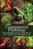 Companion Planting - The Beginner's Guide to Companion Gardening (Paperback) - M Grande Photo