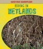 Hiding in Wetlands (Paperback) - Deborah Underwood Photo