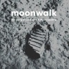 Moonwalk: The Story of the Apollo 11 Moon Landing (Hardcover) - David Jenkins Photo