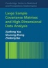 Large Sample Covariance Matrices and High-Dimensional Data Analysis (Hardcover) - Zhidong Bai Photo