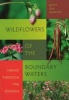 Wildflowers of the Boundary Waters - Hiking Through the Seasons (Paperback) - Betty vos Hemstad Photo