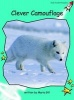 Clever Camouflage, Level 2 - Fluency (Standard English Edition) (Paperback, International edition) - Maria Gill Photo