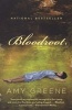 Bloodroot (Paperback) - Amy Greene Photo