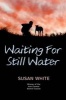 Waiting for Still Water (Paperback) - Susan White Photo