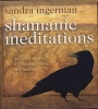 Shamanic Meditations - Guided Journeys for Insight, Vision, and Healing (CD) - Sandra Ingerman Photo