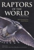 Raptors of the World - A Field Guide (Paperback) - James Ferguson Lees Photo