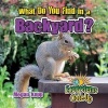 What Do You Find in a Backyard? (Paperback) - Megan Kopp Photo