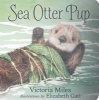 Sea Otter Pup (Board book) - Victoria Miles Photo